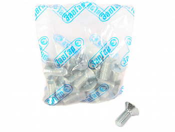 Винт М8*1,25*20 потай. крест. двери 2101